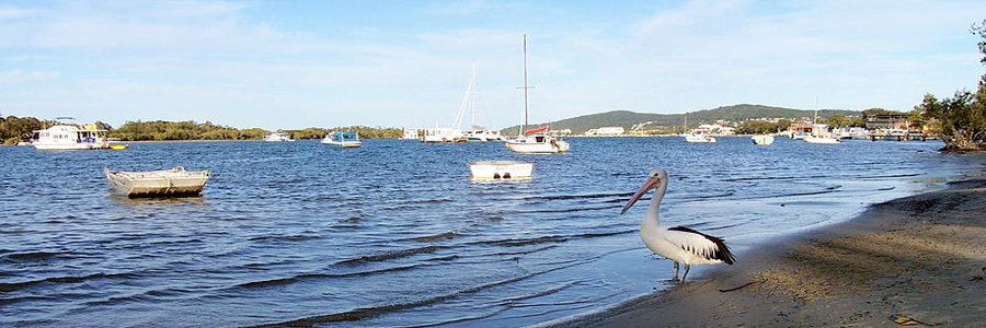 102 years young: Lorna’s story